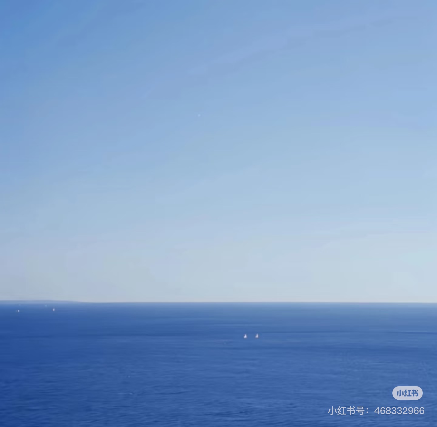 GIẤC MỘNG TRONG SƯƠNG MÙ