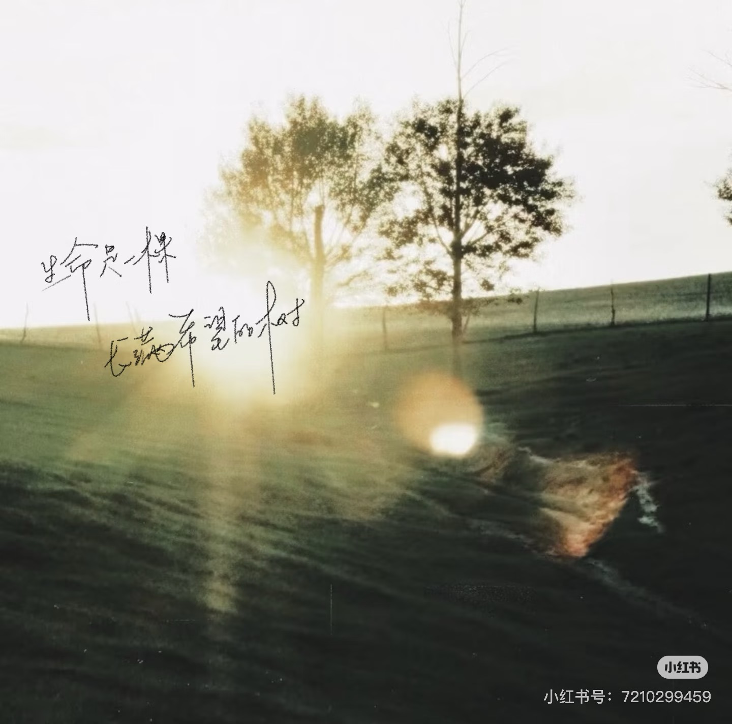 TÌNH YÊU TAN BIẾN THEO GIÓ