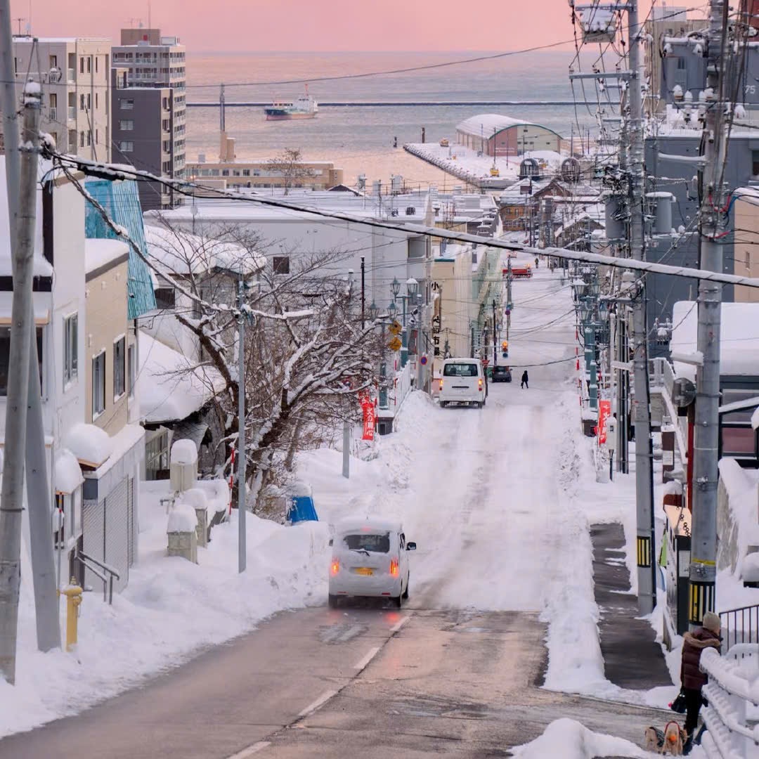 Trận Văn Trường Sinh