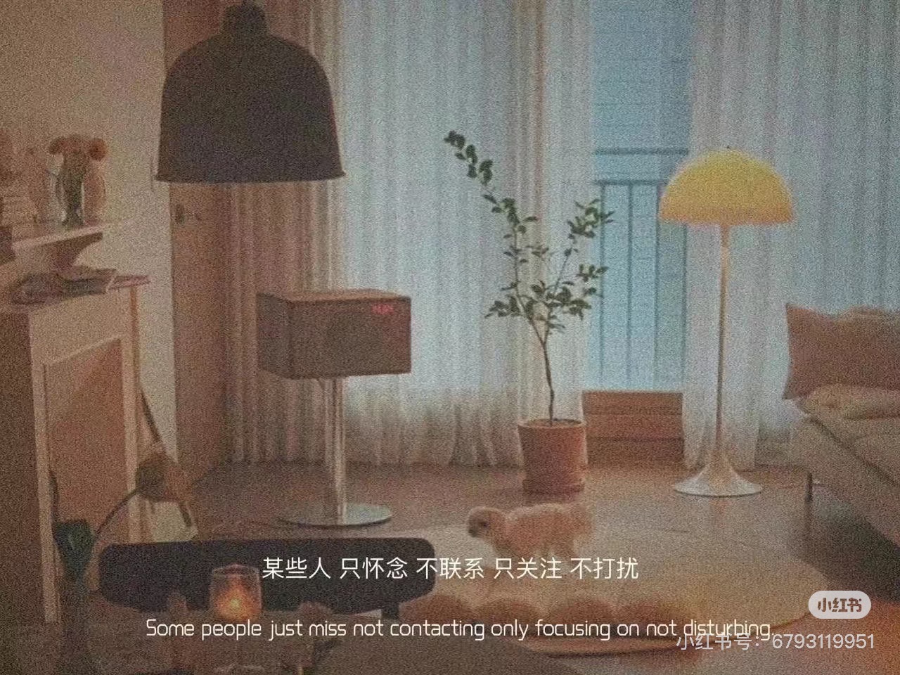 Trận Văn Trường Sinh