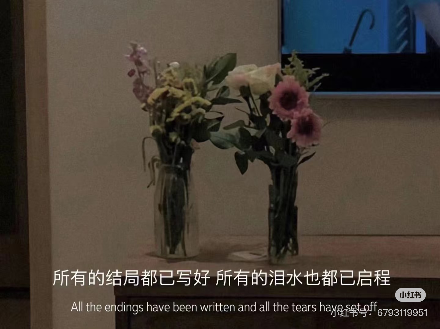 HẠNH PHÚC THOÁNG QUA