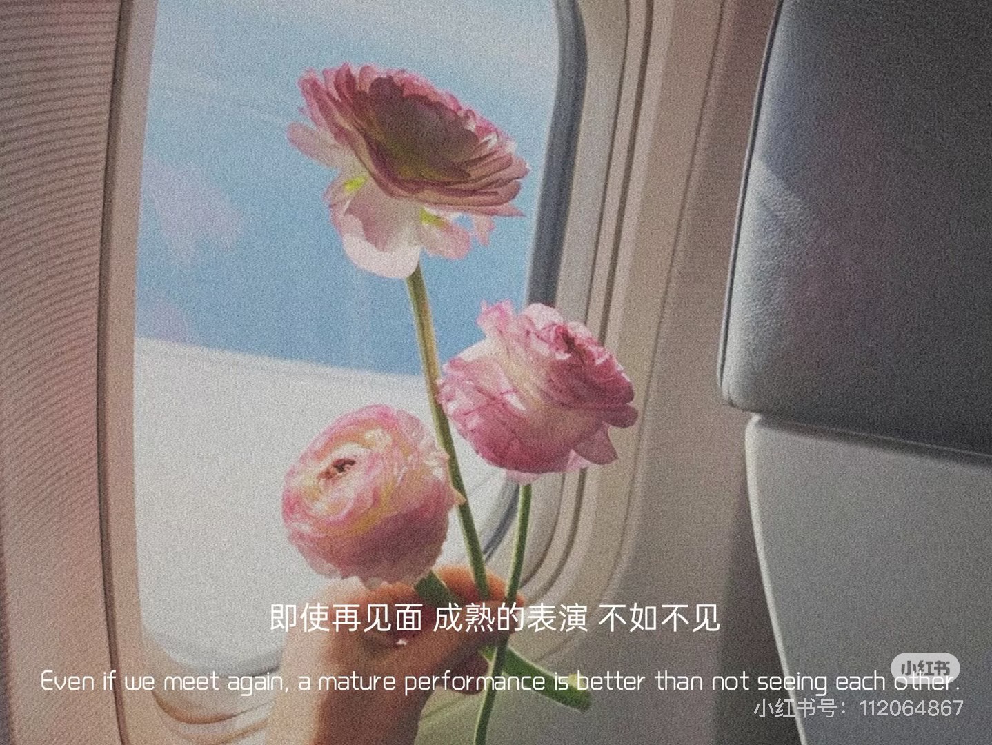 KHÔNG HẸN GẶP LẠI