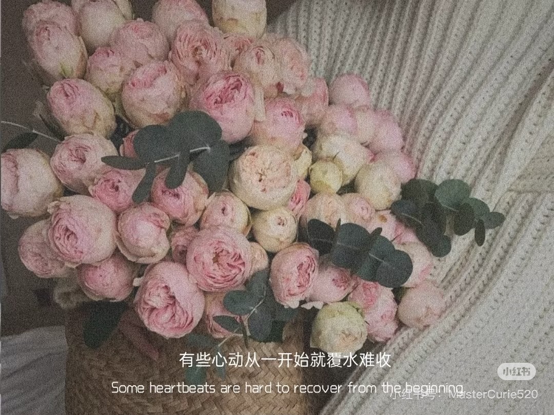 GIA ĐÌNH NÀY ĐÃ KHÔNG CÒN CHẤP NHẬN ANH NỮA