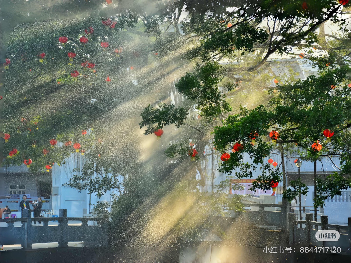 PHU QUÂN MUỐN ĐỔI, ĐÍCH TỶ KHÔNG BẰNG LÒNG