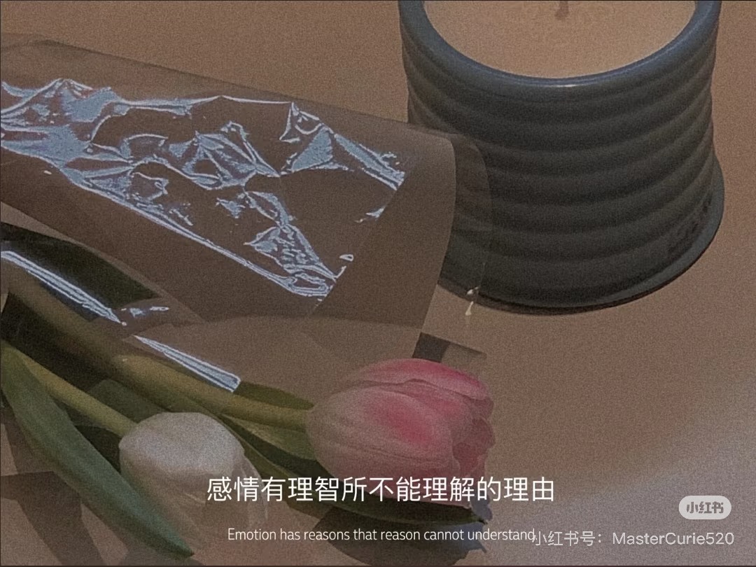 KHÔNG CÓ TƯƠNG LAI