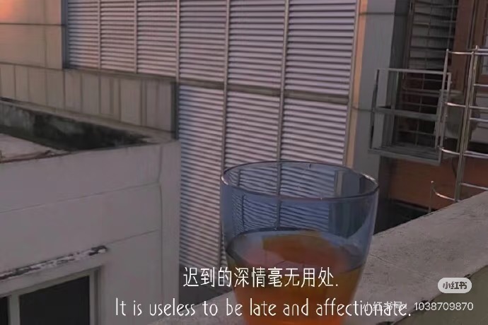 GIANG TỔNG ĐỪNG NGƯỢC NỮA, HÔM NAY LÀ TANG LỄ CỦA PHU NHÂN RỒI