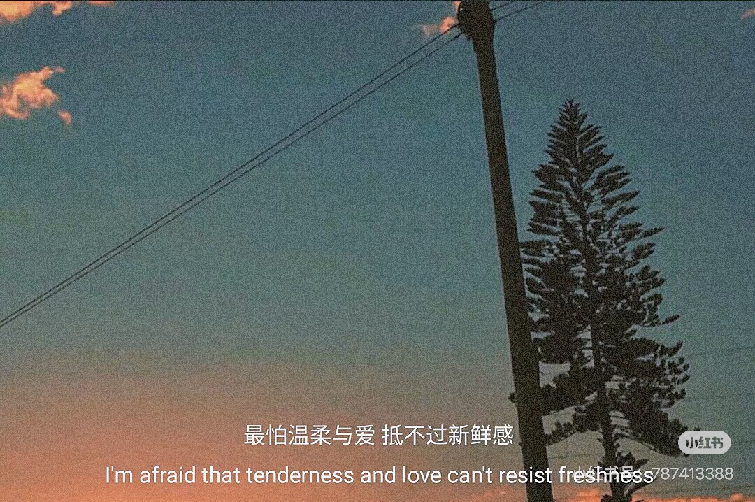 ĐAN THÀNH MỘT TẤM CHÂN TÌNH