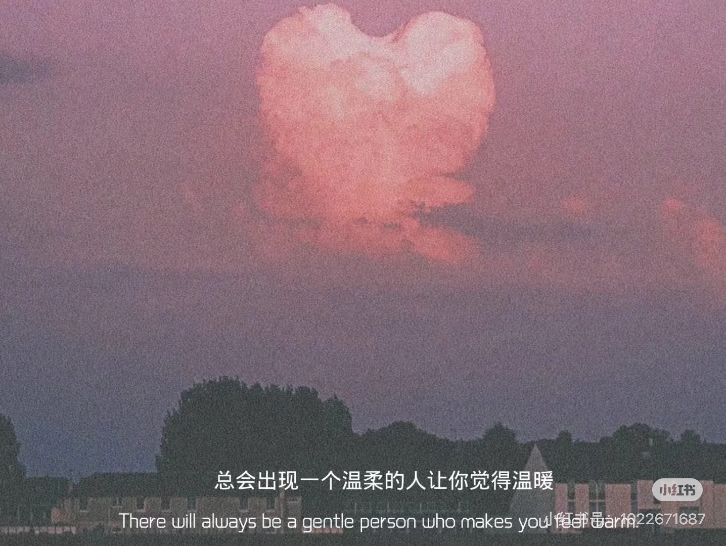 KHI HOA KALSANG NỞ, ANH SẼ ĐẾN HỎI CƯỚI EM