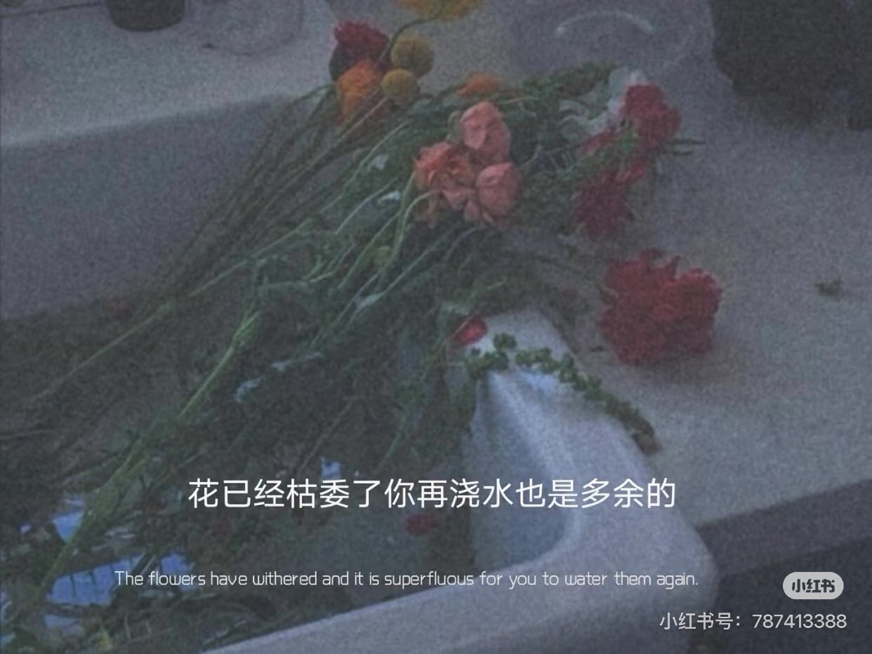 NGỌN ĐỒI XANH VỤT QUA