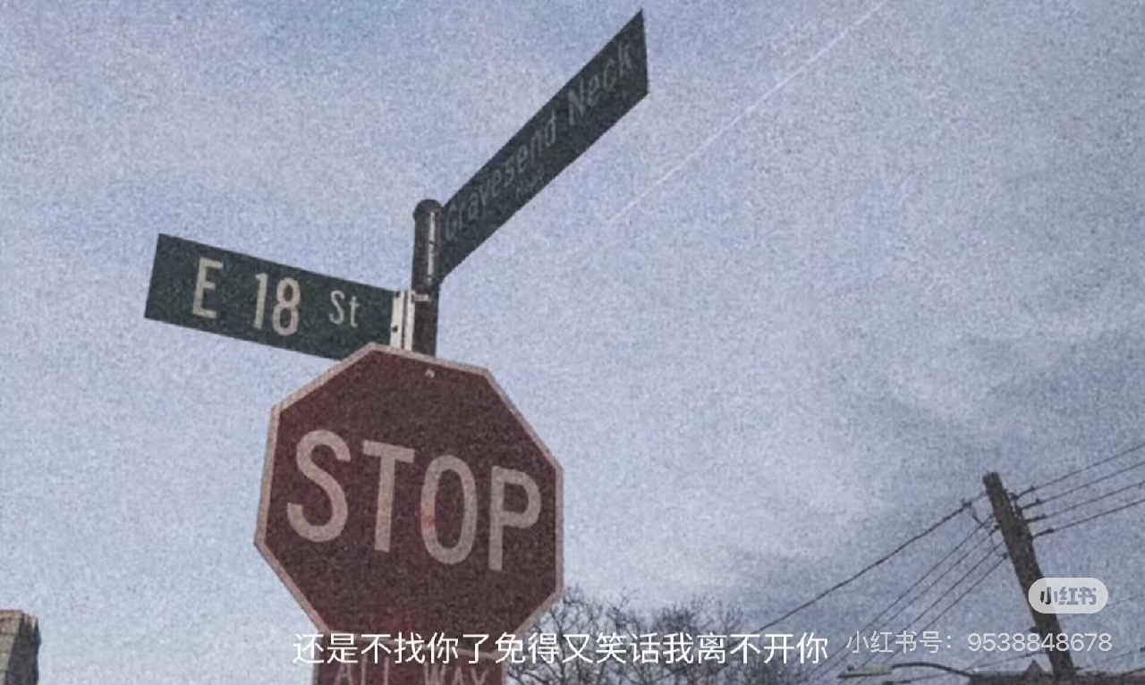 SAU KHI TRÙNG SINH KHÔNG THÈM ANH NỮA, ANH PHÁT ĐIÊN CÁI GÌ VẬY?