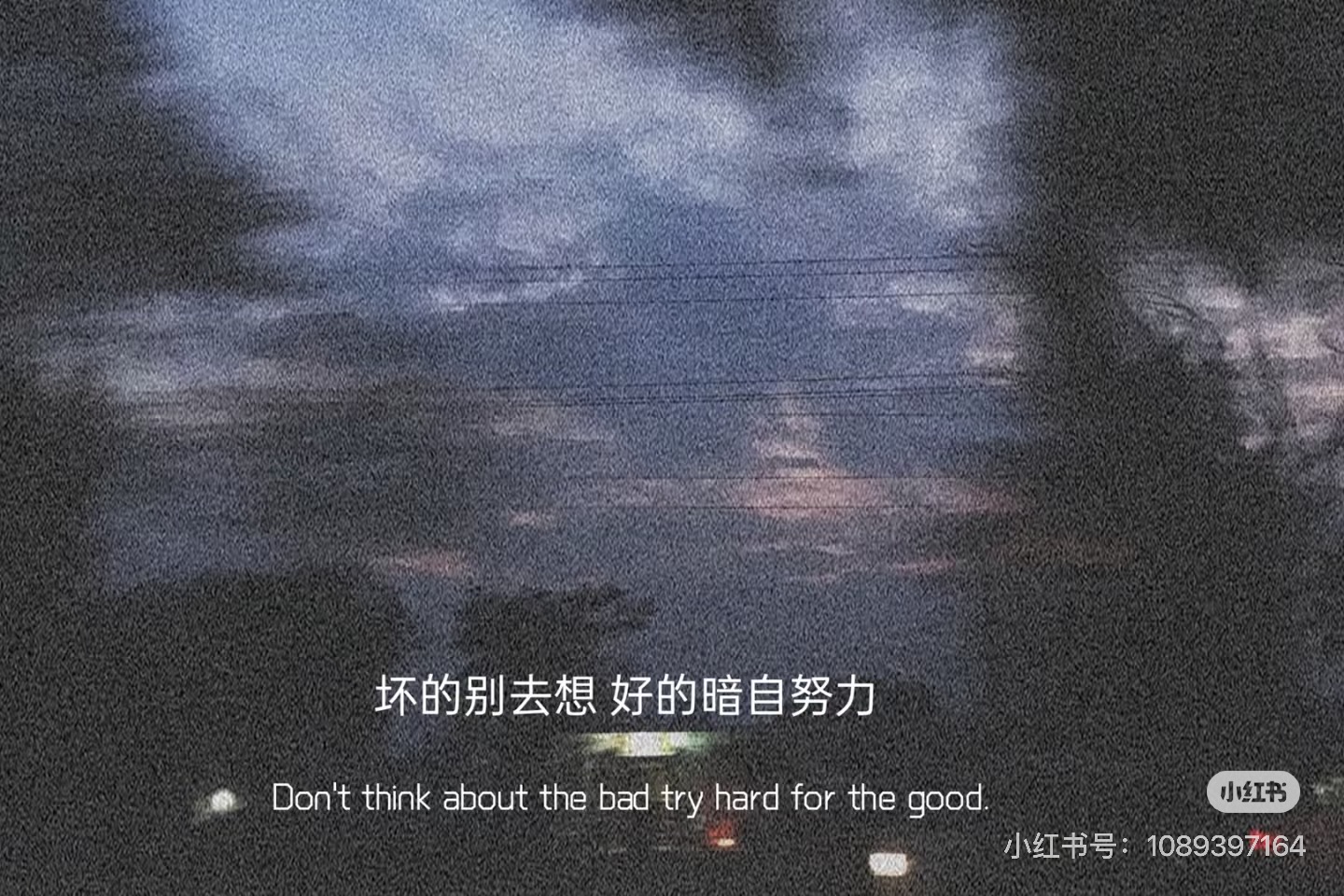 Trận Văn Trường Sinh