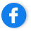 icon facebook